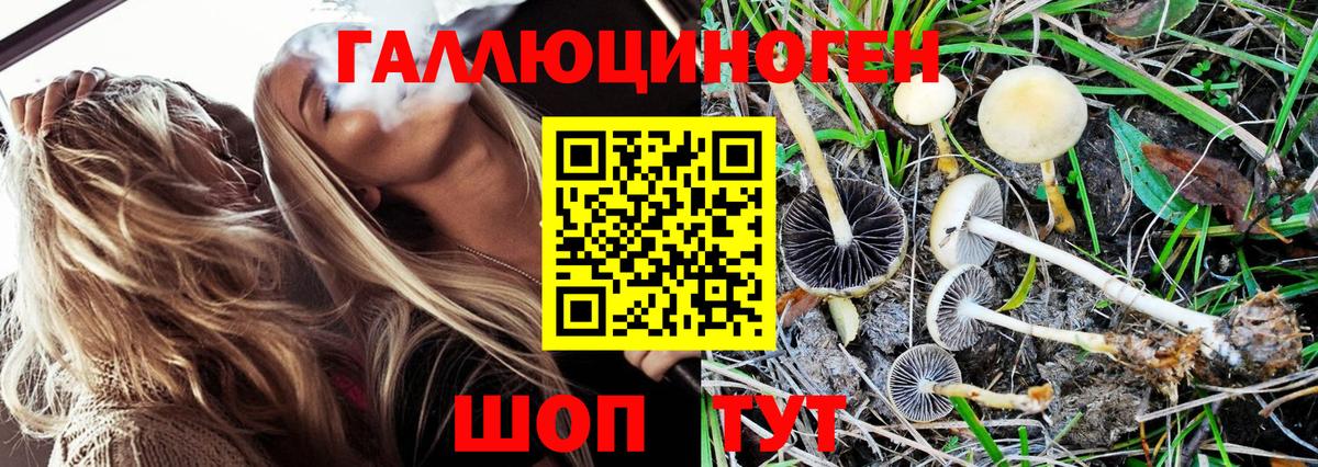 Cocaine  ГАШИШ  Вход с VPN  Codein  Цена  Бошки Шишки  Новочебоксарск  Экстази  Меф МЯУ МЯУ  