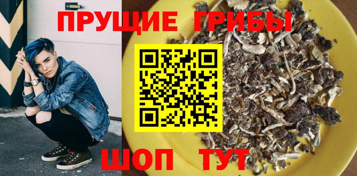 Псилоцибиновые грибы GOLDEN TEACHER Новочебоксарск
