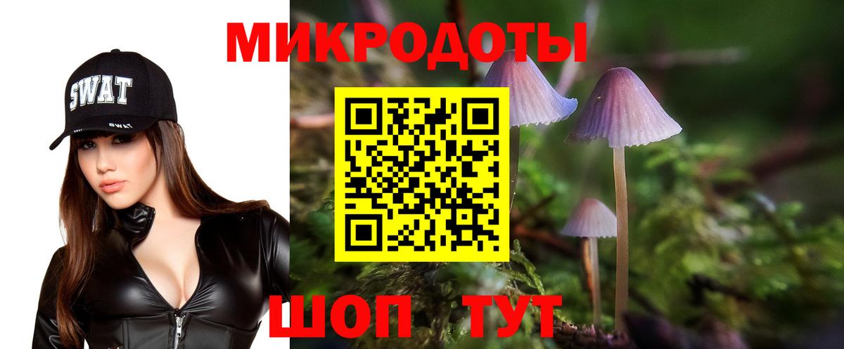 Новочебоксарск  Псилоцибиновые грибы Psilocybine cubensis  Вход с VPN 